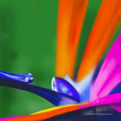 Poster_Flowers No.2